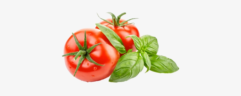 Tomatoes Tomatoes - Chrysal Tomaten & Kräuter Langzeitdünger, Faltschachtel,, transparent png