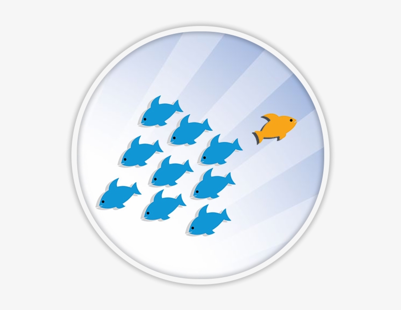 Find Accounting Jobs In Winnipeg - Winnipeg, transparent png