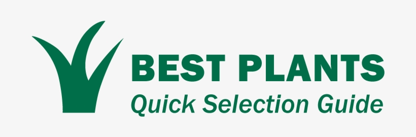 Image - Plants, transparent png