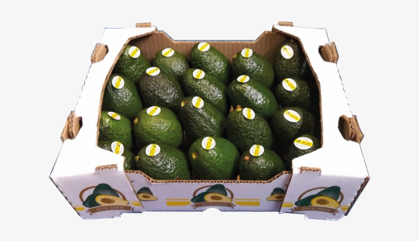 Caja 4kg - Handbag, transparent png