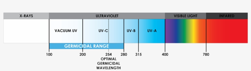 That's Why We've Come Up With Leak Proof Product Designs - Wavelength, transparent png