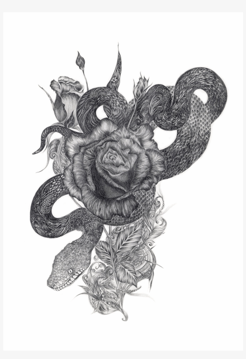 Trip Snake - Special Edition, transparent png