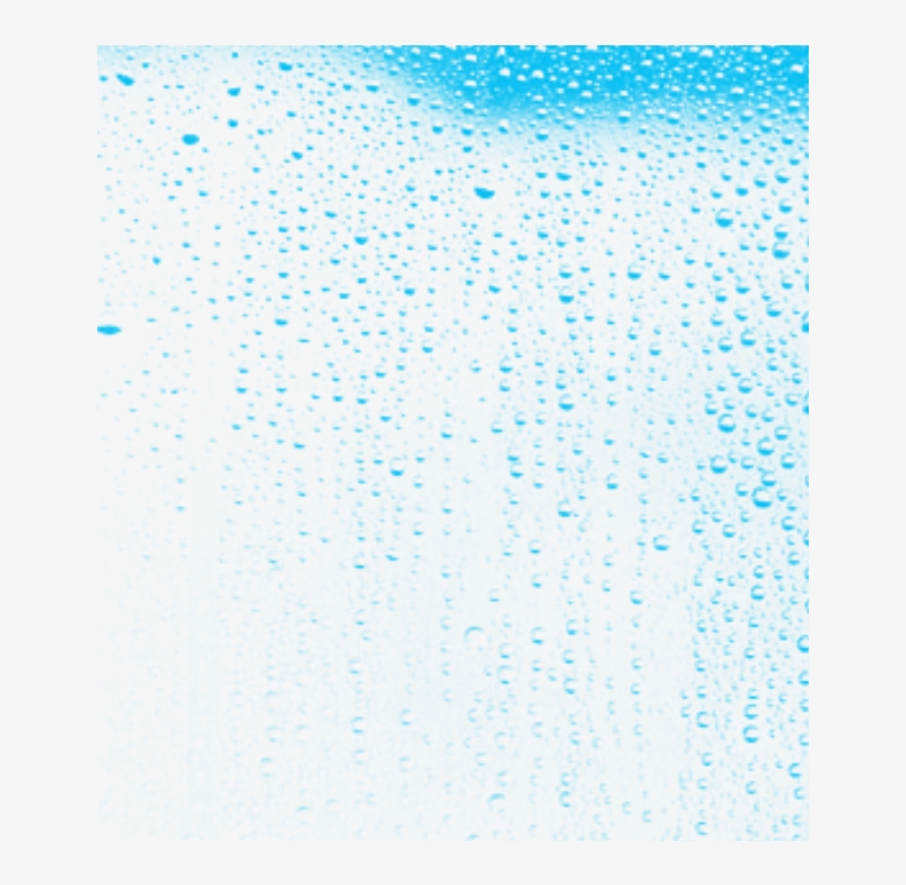 Posted By Talim Khan On - Skomsork: Skomsork Cd, transparent png