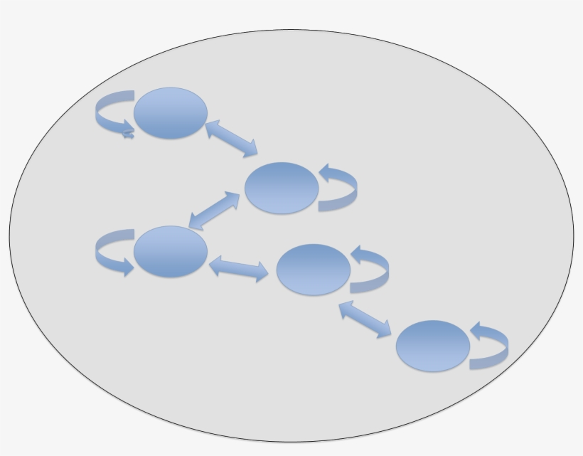 Northern Snakehead Populations Occur As Metapopulations - Circle, transparent png