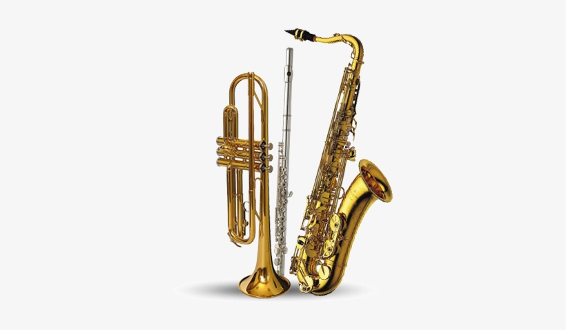 Rental - Yanagisawa Artist T-991 Bb Tenor Saxophone, transparent png