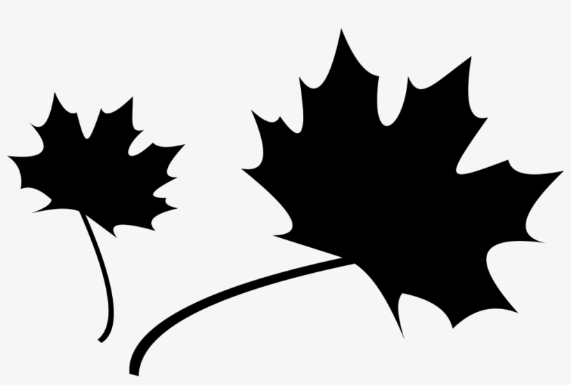 Png File - Icon, transparent png