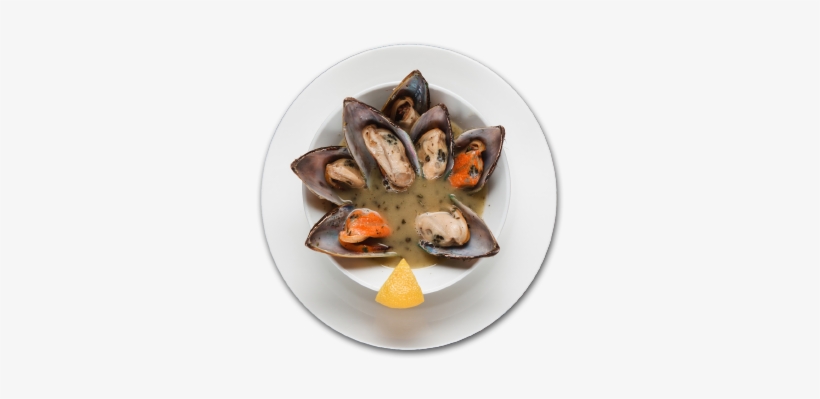 Mussel Chowder - Mussel, transparent png
