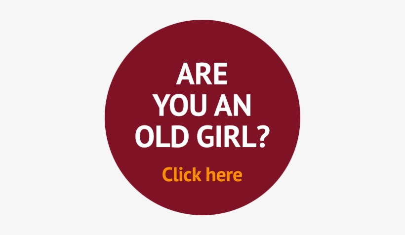 Click Here If You're An Old Girl - Hope You Learned Something, transparent png