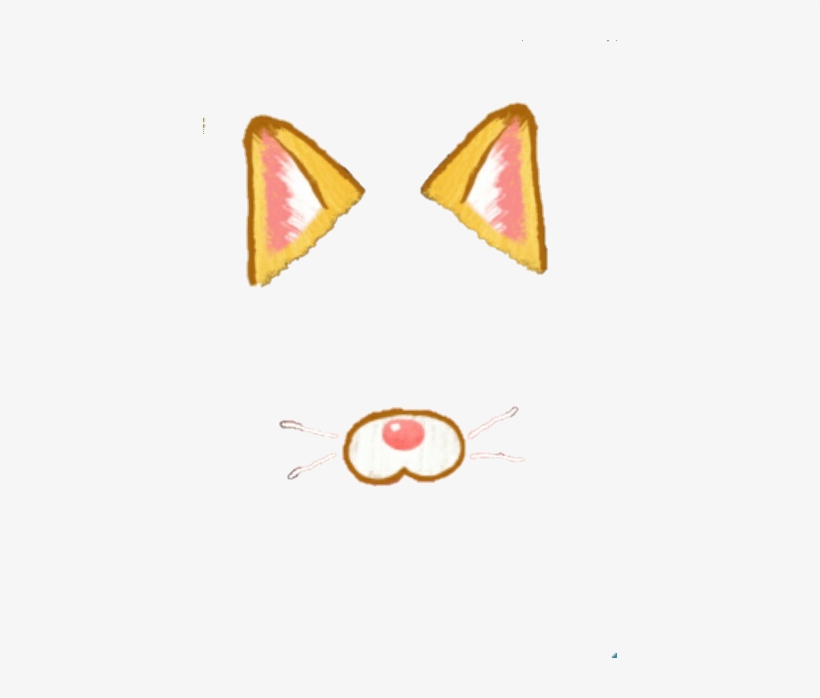 Free Stock Avatan Plus Filter - Snow Cat Filter Transparent, transparent png