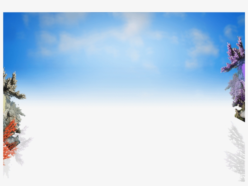 Sky Bg Full - Christmas Tree, transparent png