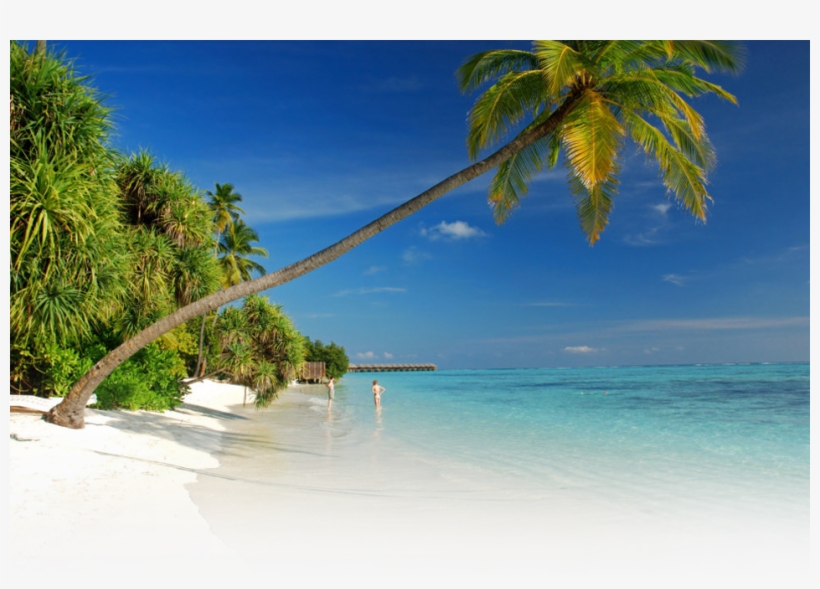 Header-background - Banquet Financial, transparent png