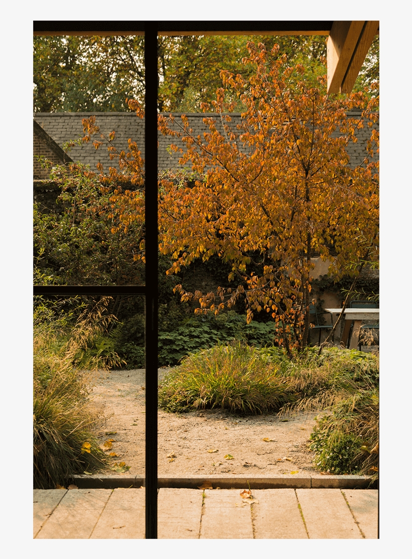 Text - New Mexico Maple, transparent png