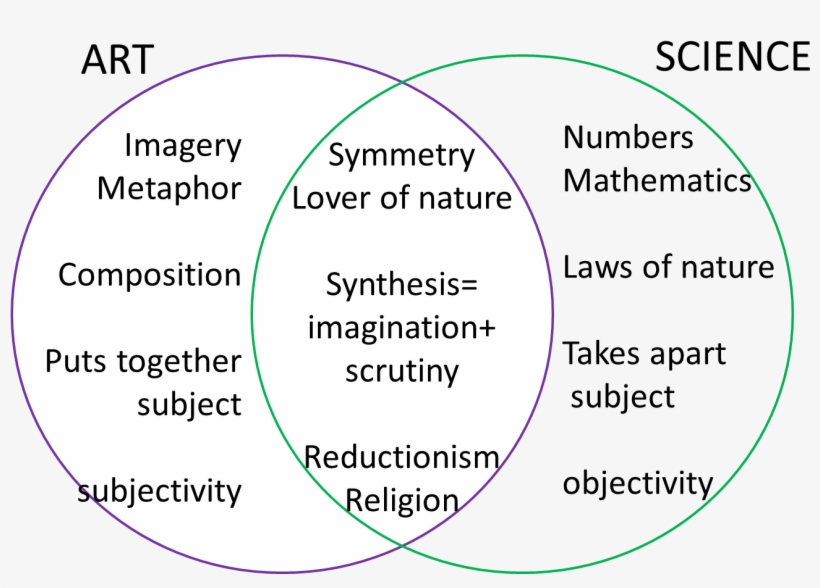 This Chart Was Informed By Math And The Mona Lisa The - Circle, transparent png