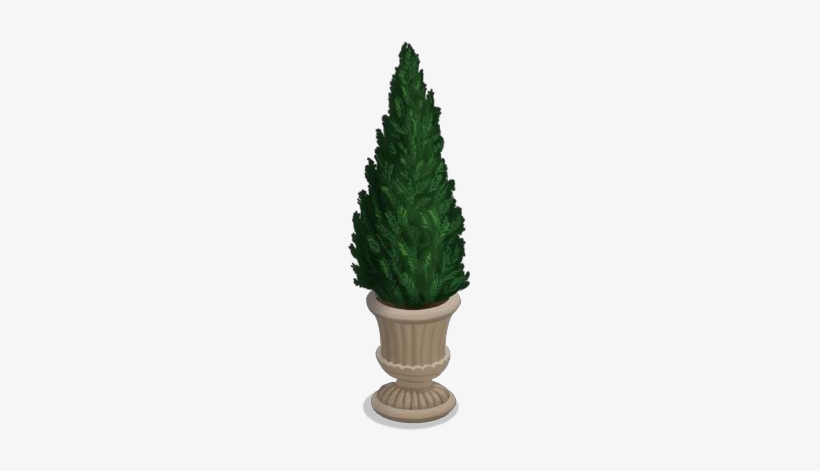 Potted Fir Tree - Flowerpot, transparent png