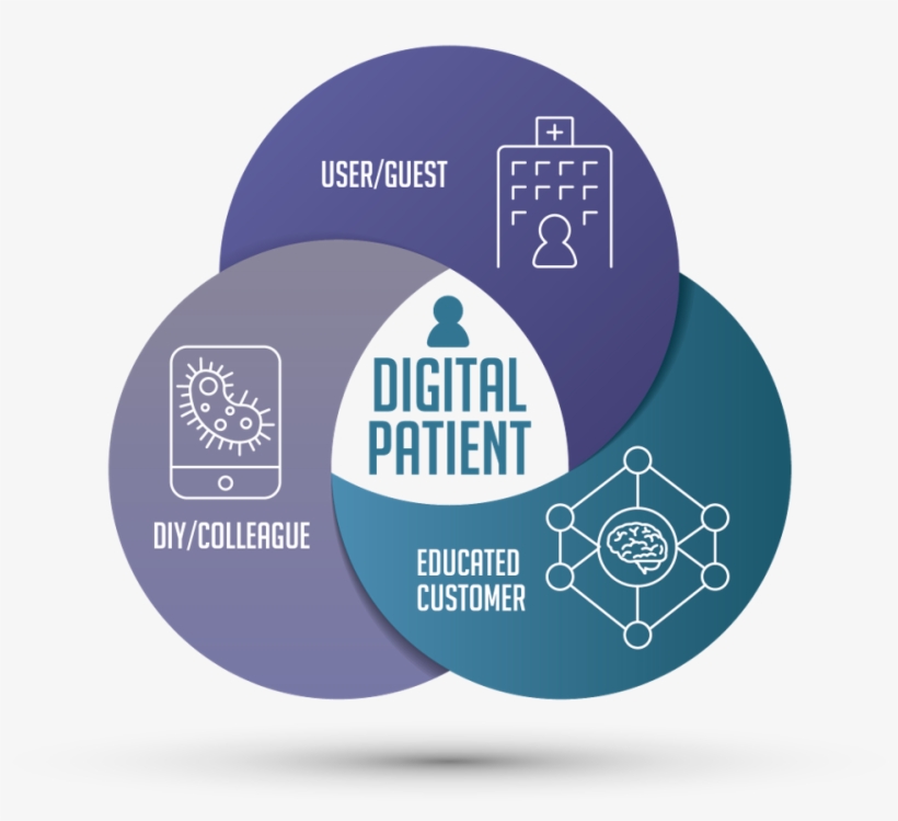 The Digital Patient Venn Diagram - Circle, transparent png