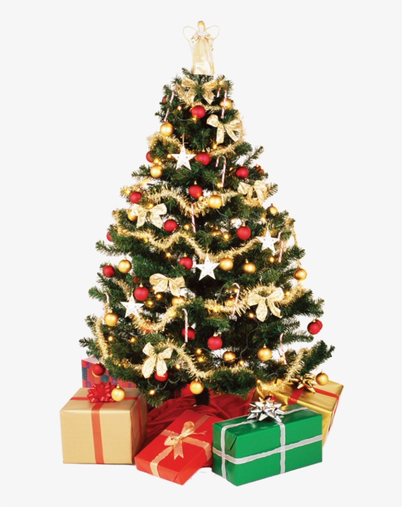 Christmas Tree Png Download Image1 - Christmas Tree Png, transparent png