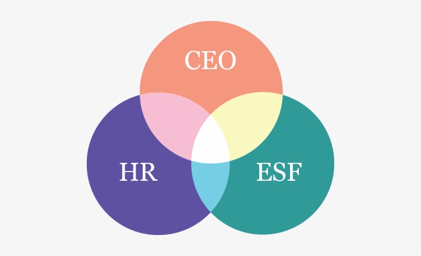 Venn Diagram Graphic - Cheese, transparent png