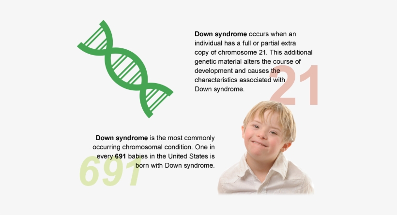 Down Syndrome Facts - Facts About Down Syndrome, transparent png
