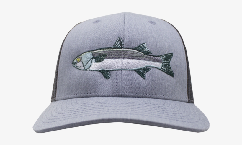 Hat, transparent png