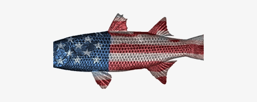 Sockeye Salmon, transparent png