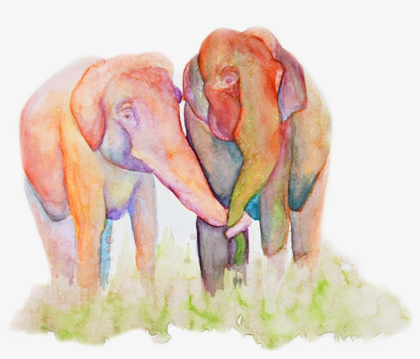 The Herd - Indian Elephant, transparent png