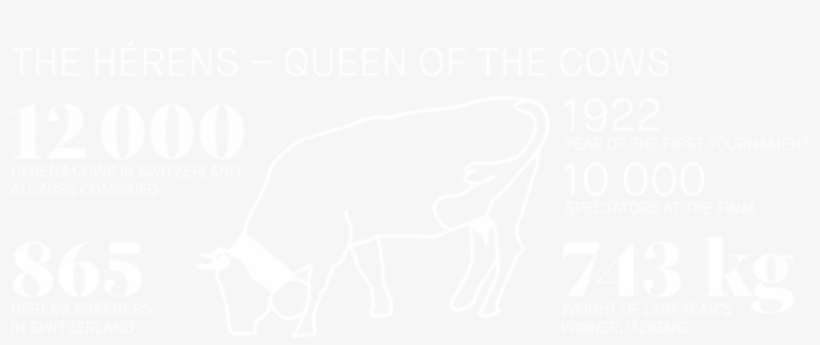 The Hérens Queen Of The Cows - Hérens Cattle, transparent png