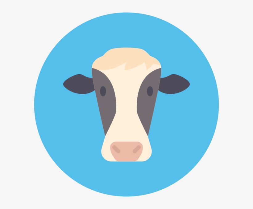 Breed Of Cows - Cattle, transparent png