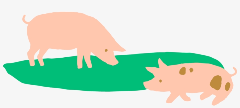 Pigs-landscape - Gulu Project Inc, transparent png