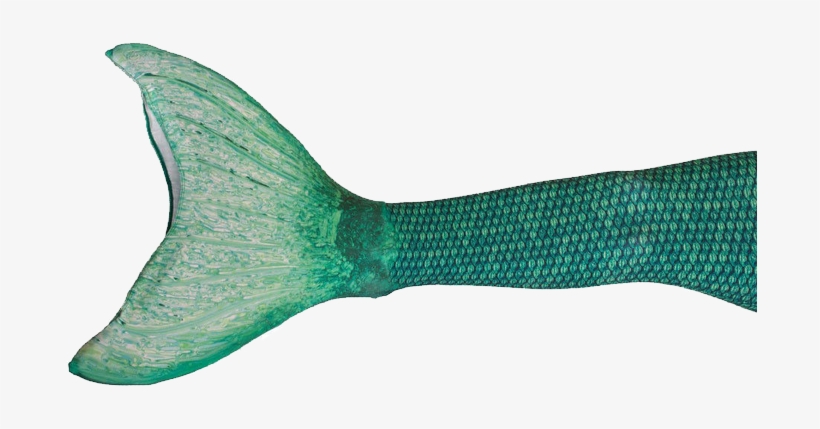 Share This Article - Mermaid Tail Transparent Background, transparent png