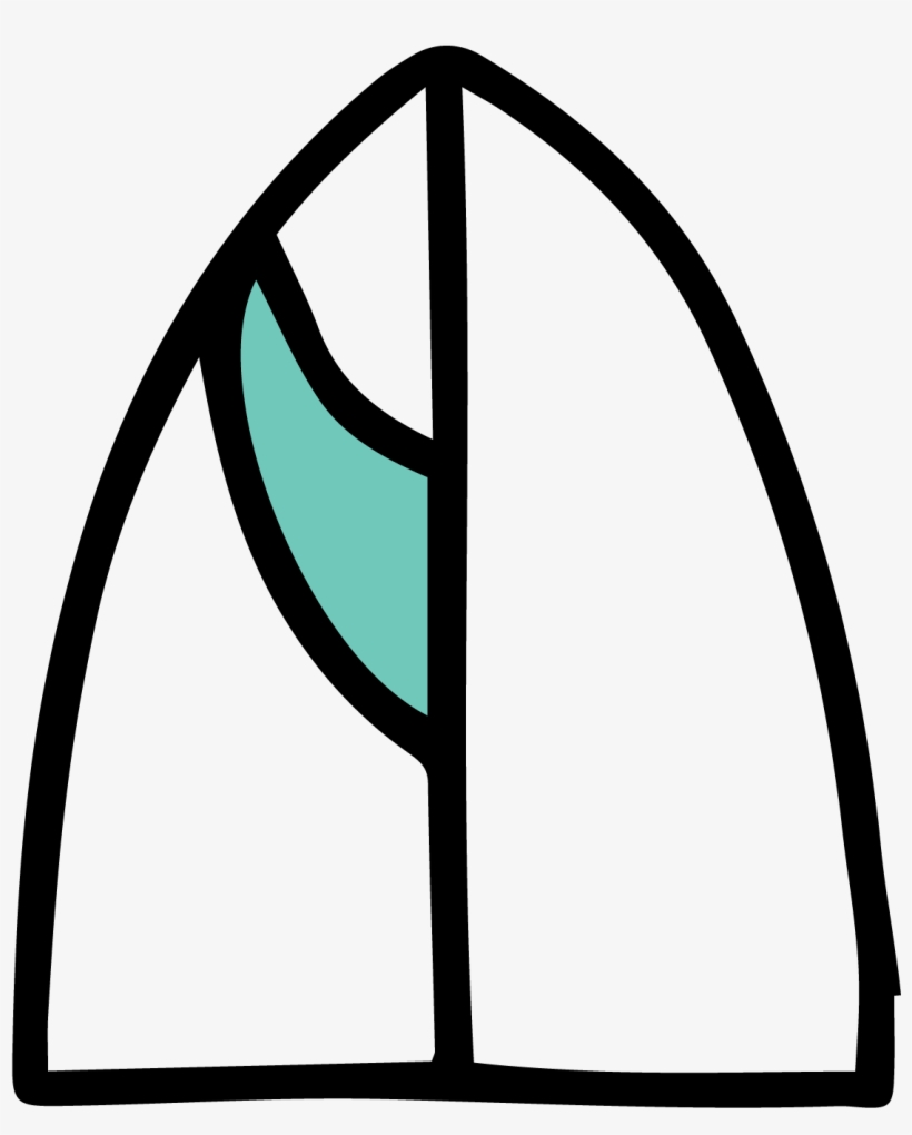 Single Fin, transparent png