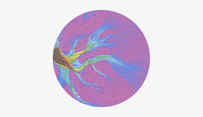 Measures Antarctica Ice Velocity Map Nsidc, - Circle, transparent png