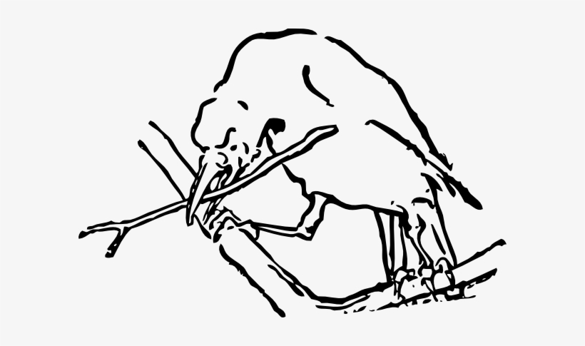 Bird With Twig Svg Clip Arts 600 X 405 Px, transparent png