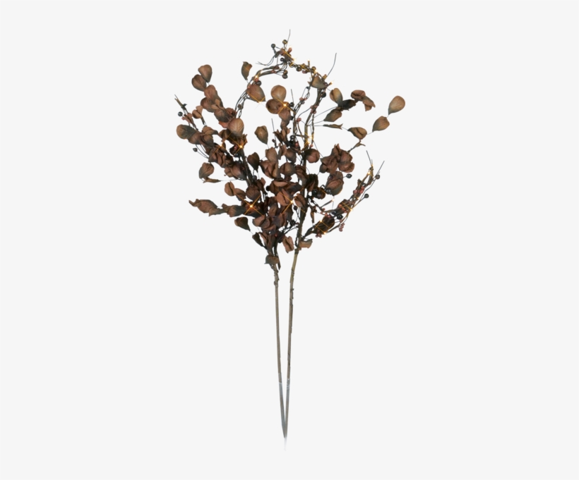 Decorative Twig Autumn - Star 32-piece Branch Lamps, Brown, transparent png