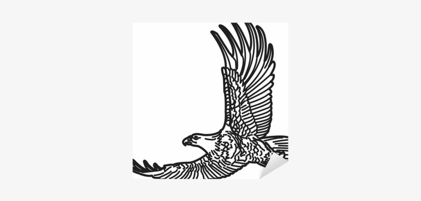Illustration Of American Bald Eagle In Flight - Bald Eagle, transparent png