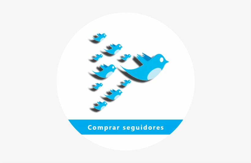 Comprar Seguidores O Followers Reales De Twitter - Twitter Bird, transparent png