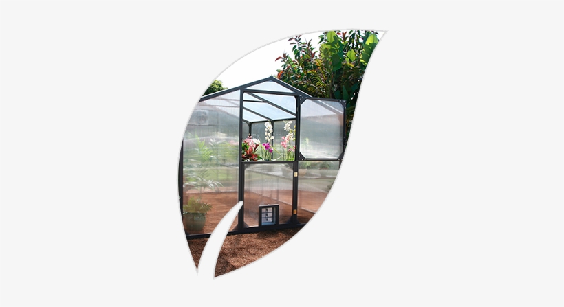 Luscious Plants In The Comfort Of Their Home, And We'd - Santa Barbara, transparent png