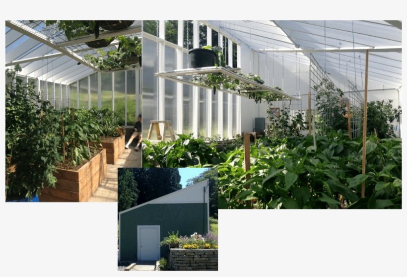 Our Greenhouse Produce - Greenhouse, transparent png