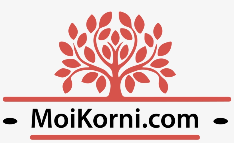 1025 578 Image/png - Mortician's Point Of View: On Conscious Death And Dying, transparent png