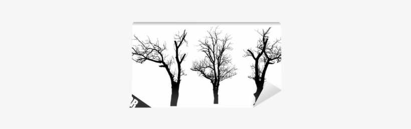 Vector Graphics, transparent png