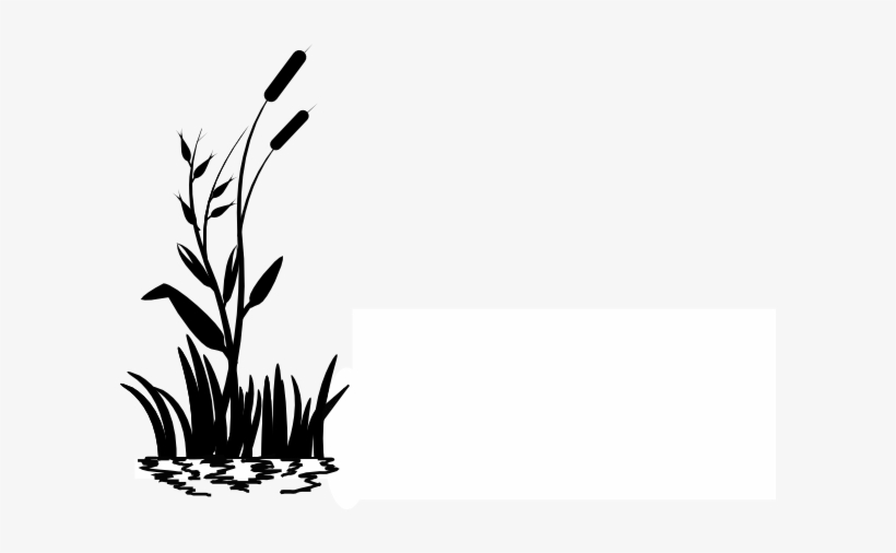 Picture Royalty Free Stock Cattail Clip Art At Clker Grass Clip Art