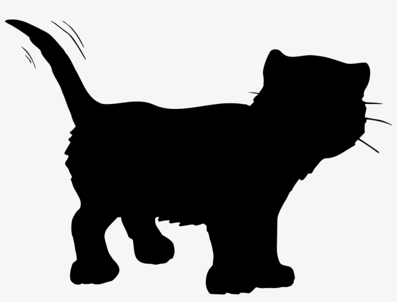 Download Png - Cat, transparent png