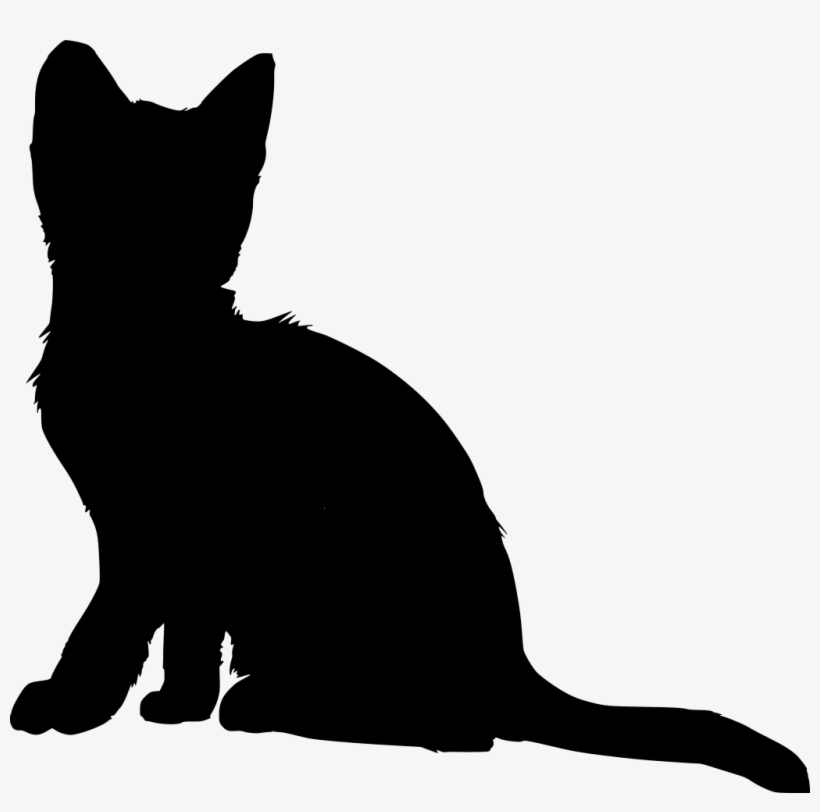 Download Png - Cat, transparent png