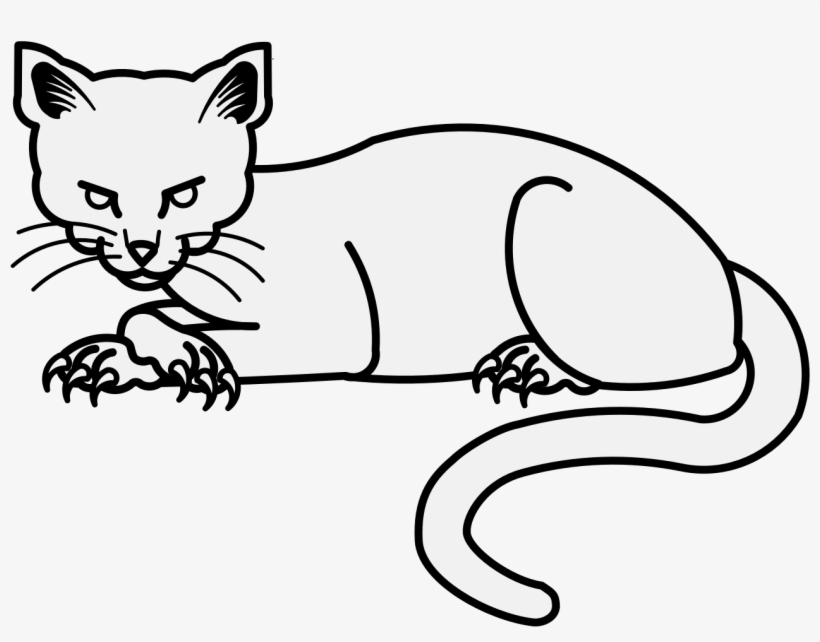 Details, Png - Kitten, transparent png