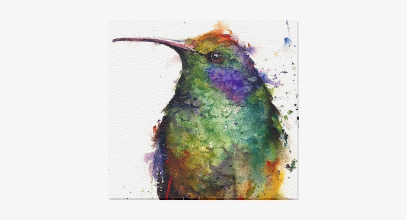 Pinturas De Colibries En Acuarela, transparent png