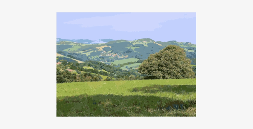 Rural Area Landscape Vegetation Natural Resource Natural - Nature, transparent png
