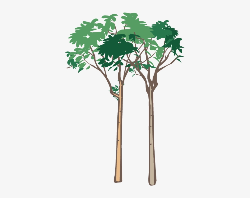 Vegetation - Modern Green Tree 29 Shower Curtain, transparent png