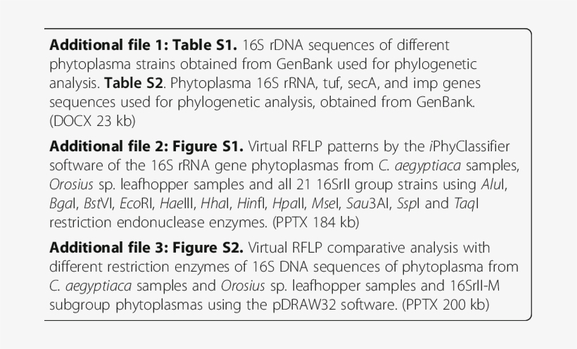 Almond Witches' Broom 'ca - Number, transparent png
