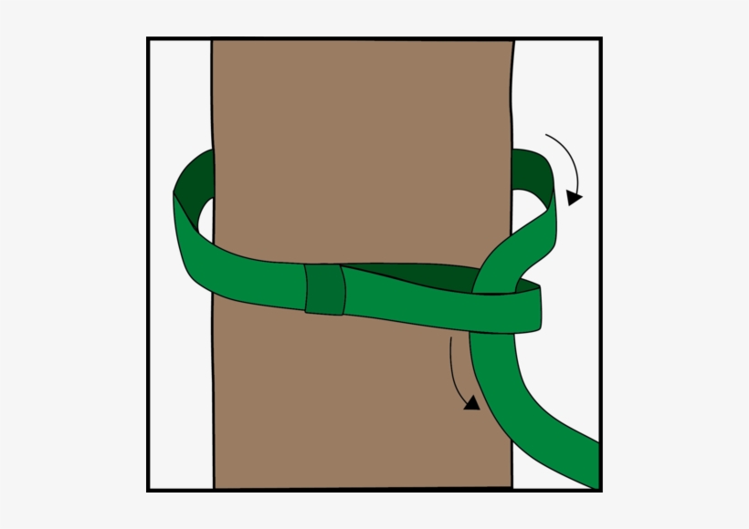 Begin By Wrapping The Strap Around The Tree And Insert - Strap, transparent png