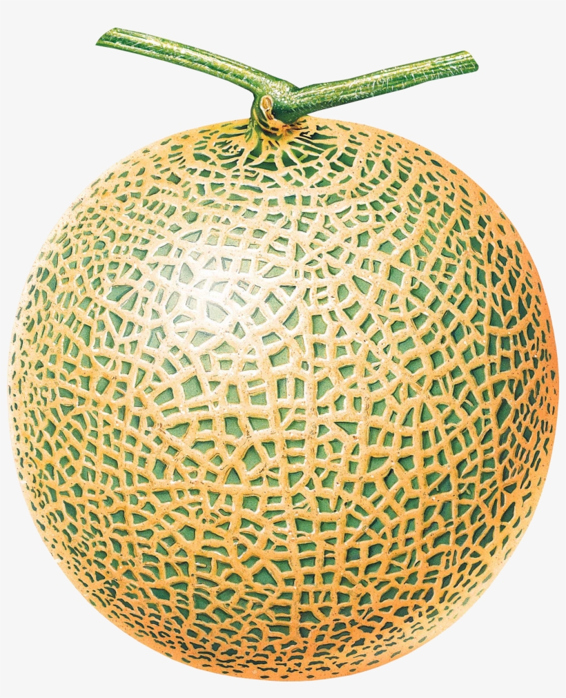 Melon Png, transparent png