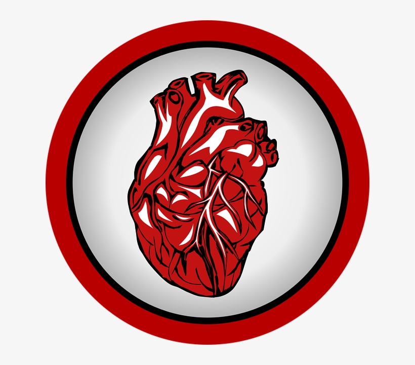 India Coronary Stent Market - Cholesterol Png, transparent png